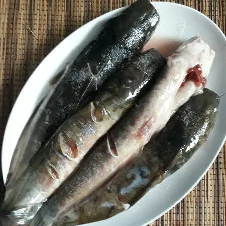 Cuci bersih ikan lele, lumuri air perasan jeruk