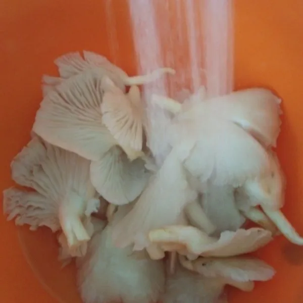 Cuci jamur tiram dalam air mengalir.