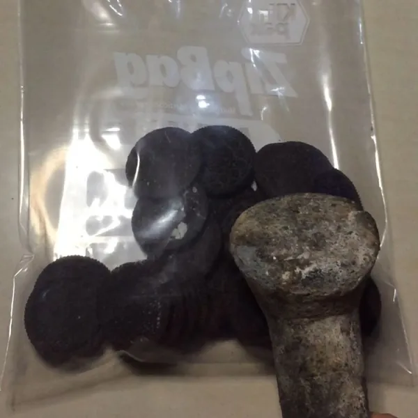 Remukkan 2 bungkus oreo yang krimnya sudah disisihkan.