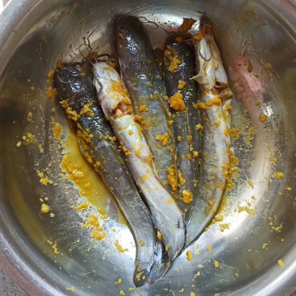 Lumuri ikan lele dengan bumbu perendam, diamkan selama 30 menit