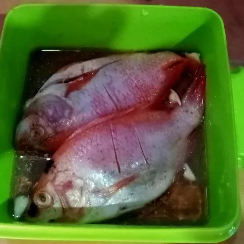Cuci bersih ikan, tambahkan sedikit garam dan 1 siung bawang putih geprek