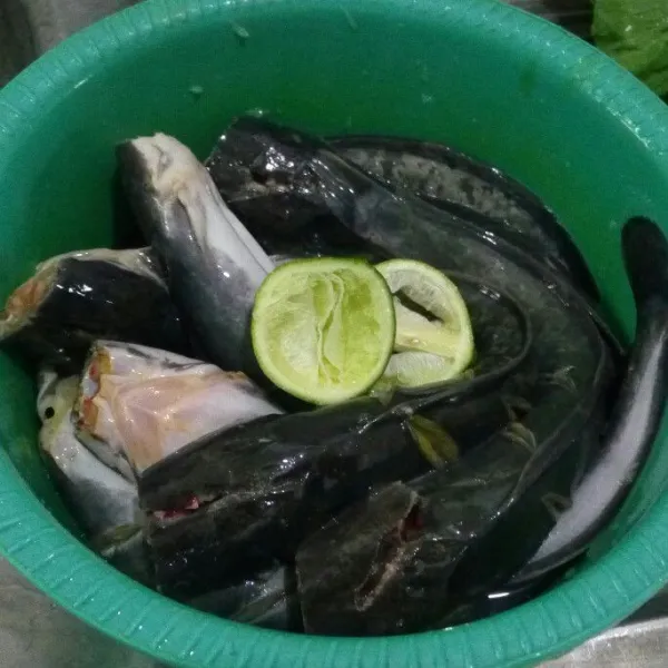 Cuci bersih ikan lele kemudian lumuri dengan air perasan jeruk nipis. Remas-remas sampai kesat. Diamkan 10 menit lalu cuci bersih lagi.