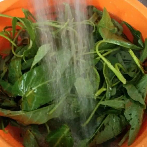 Cuci kangkung sampai bersih, tiriskan
