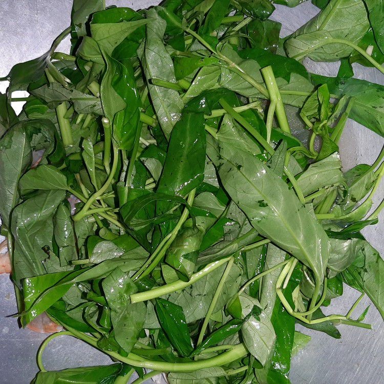 Langkah 4