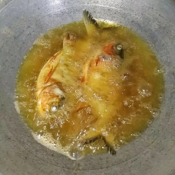 Siapkan wajan. Panaskan minyak goreng (menggunakan api sedang) lalu goreng ikan bawal hingga kering.