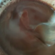 Daam wadah, campur susu cair, serbuk cokelat kemasan, telur dan gula pasir. Aduk rata.