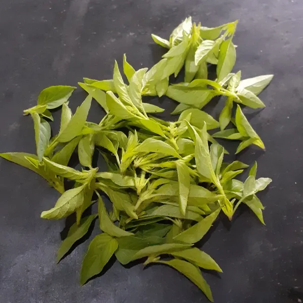 Petik daun kemangi dari tangkainya, cuci bersih, tiriskan.