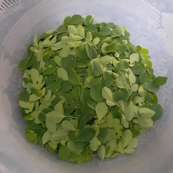 Serut tangkai kelor, ambil daunnya. Cuci berrsih, tiriskan.