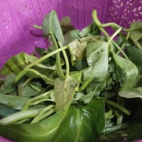 Petik kangkung lalu cuci bersih.