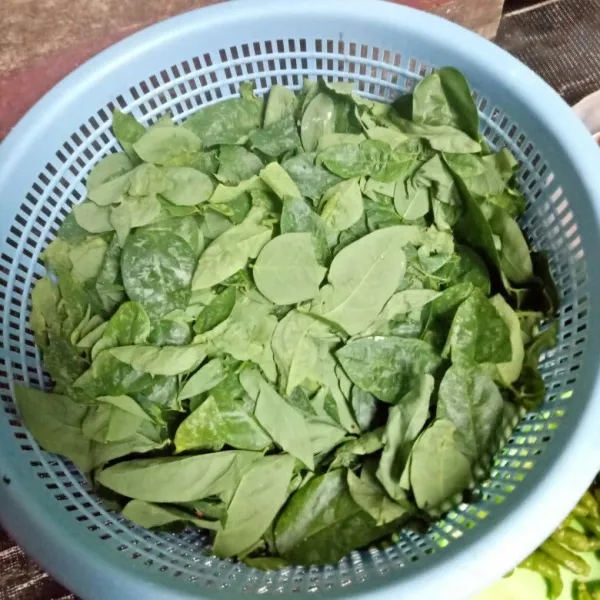 Siangi daun katuk lalu cuci bersih, sisihkan.