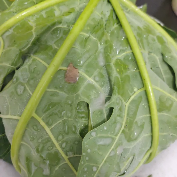 Siapkan daun pepaya. Ungkep daging yang sudah dilumuri air jeruk nipis, garam dan lada bubuk. Di sini saya kira-kira 30 menit ya. Rematkan daging dengan daun pepaya kemudian cuci sampai bersih.