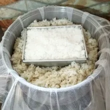 Setelah beras ketan mengembang, kukus lagi beras ketan di dalam dandang, masukkan juga kelapa parutnya. Kukus hingga beras ketan tanak dan lengket. Angkat.