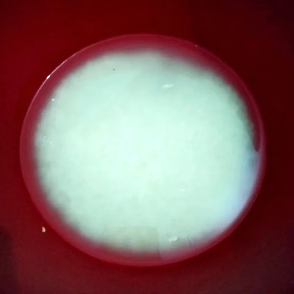 Siapkan wadah, ambil beras rendam selama 1 hari