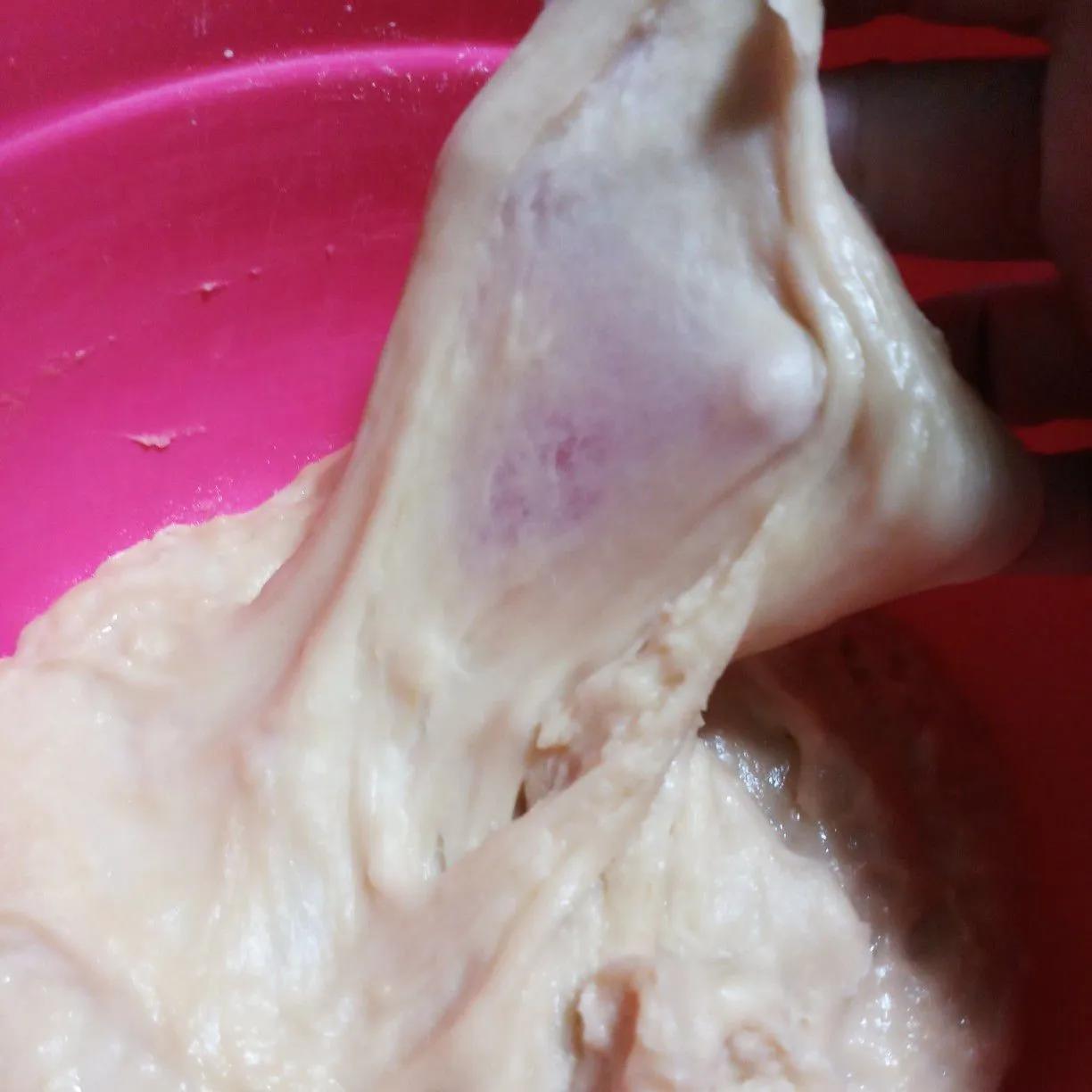 Step 4 Roti Sobek Autolisis
