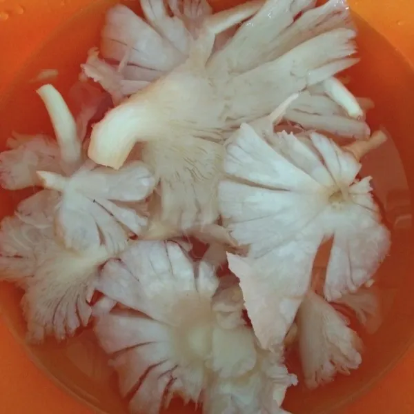 Cuci bersih jamur