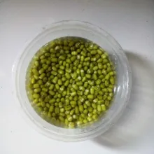 Cuci bersih kacang. Rendam dengan air selama kurang lebih 1jam. Setelah 1 jam, kupas kulit kacang.