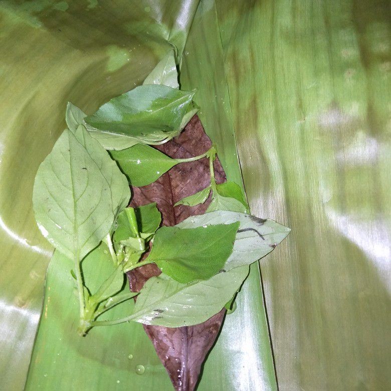 Langkah 3