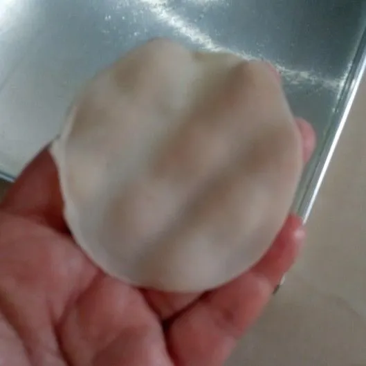 Ambil selembar kulit pangsit