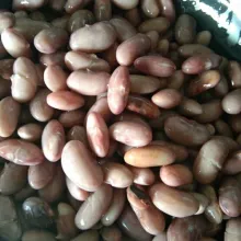 Haluskan bumbu halus.
