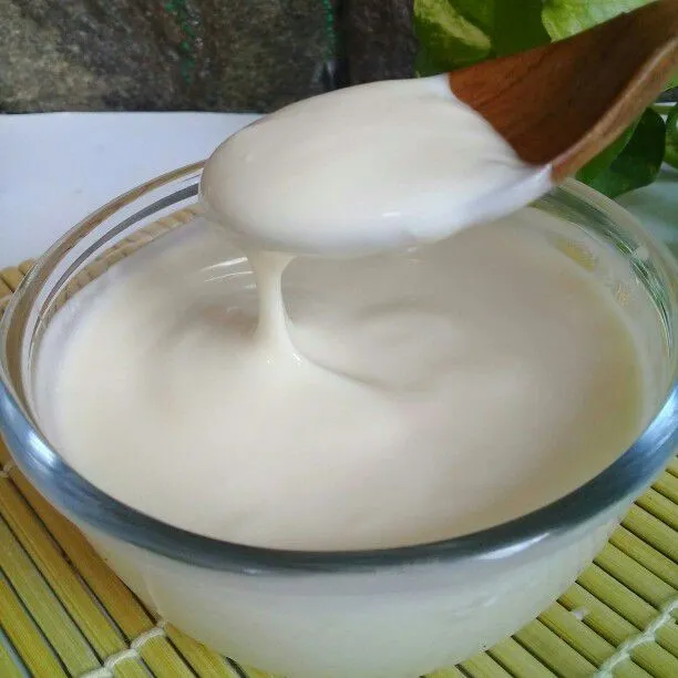 Plain Yogurt Homemade