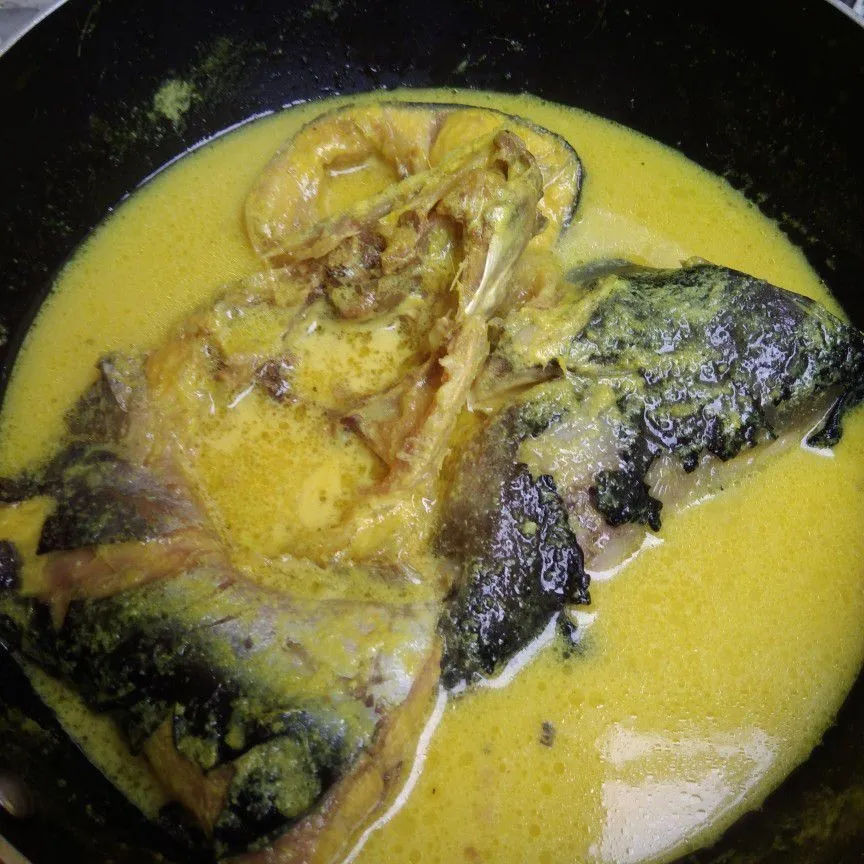 Step 5 Paliat Patin
