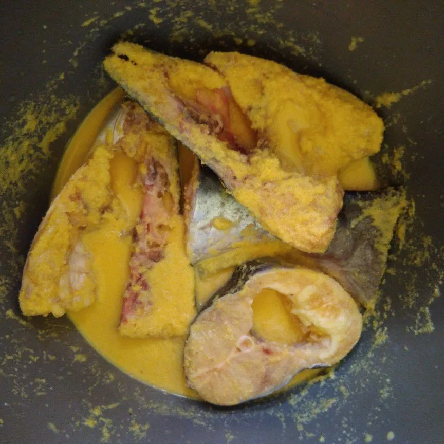 Step 2 Paliat Patin