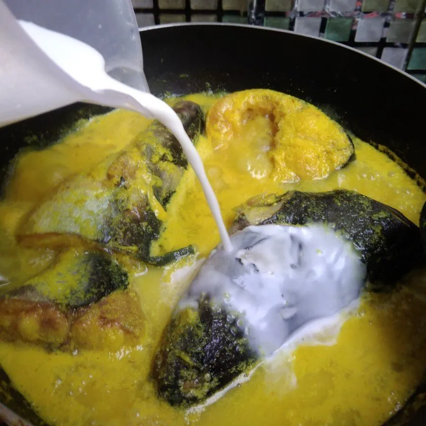 Step 4 Paliat Patin