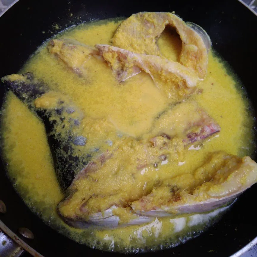 Step 3 Paliat Patin