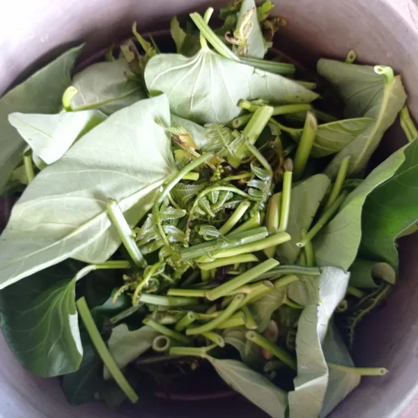 Petik kangkung dan pakis. Kemudian cuci bersih.