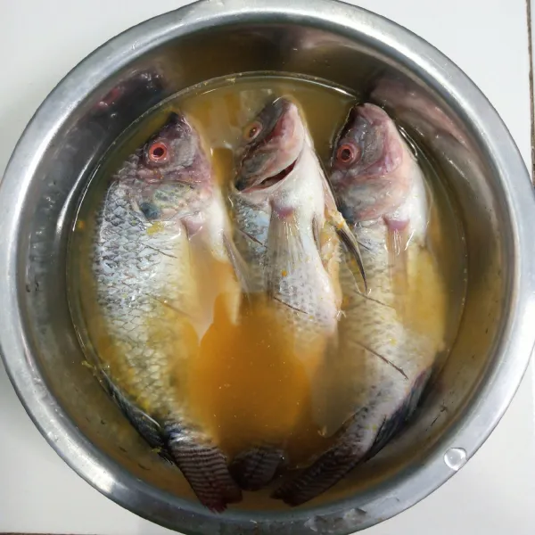 Tambahkan air. Kemudian masukkan ikan. Rendam selama 30 menit.