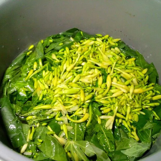 Step 3 Rumpu Rampe