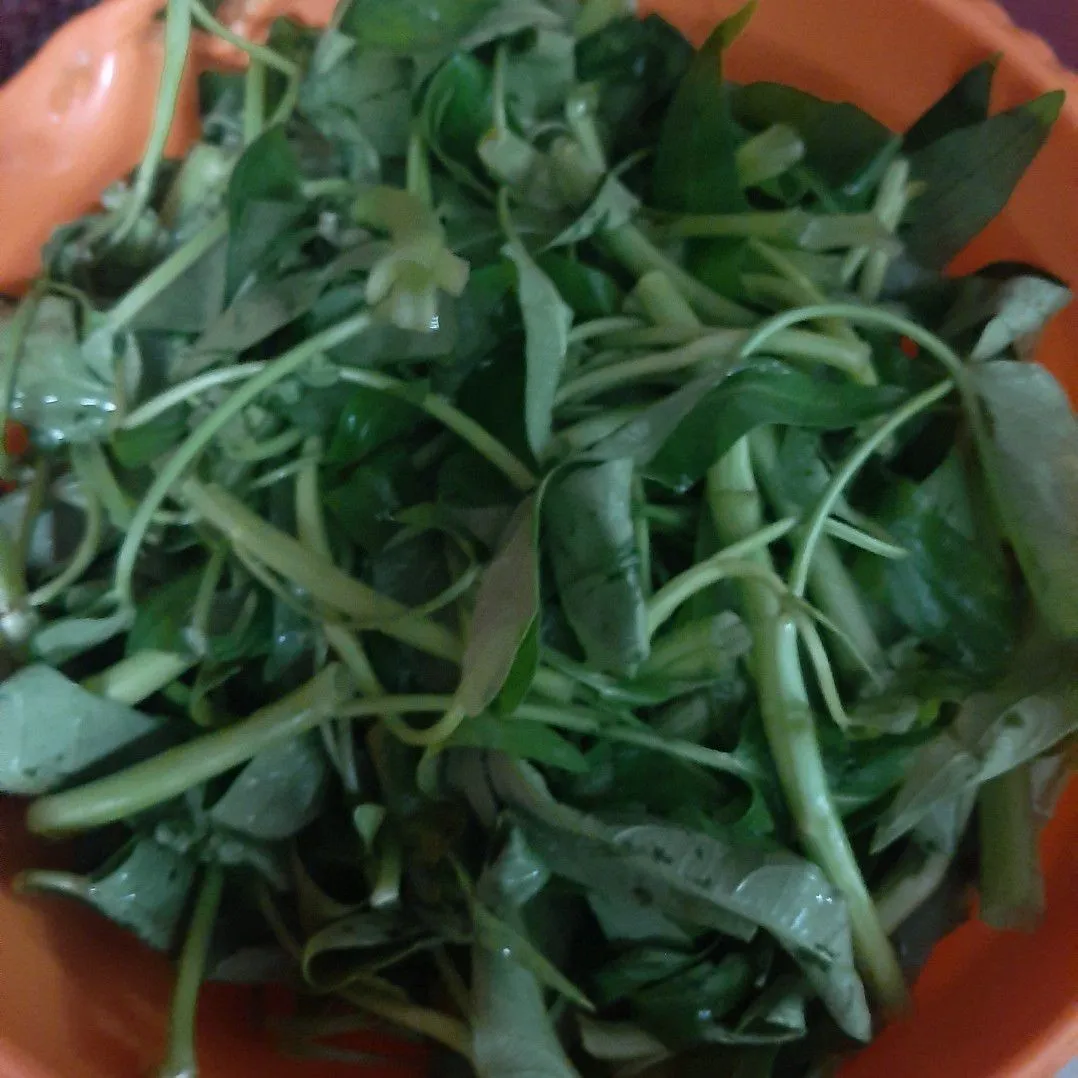 Step 1 Cah Kangkung