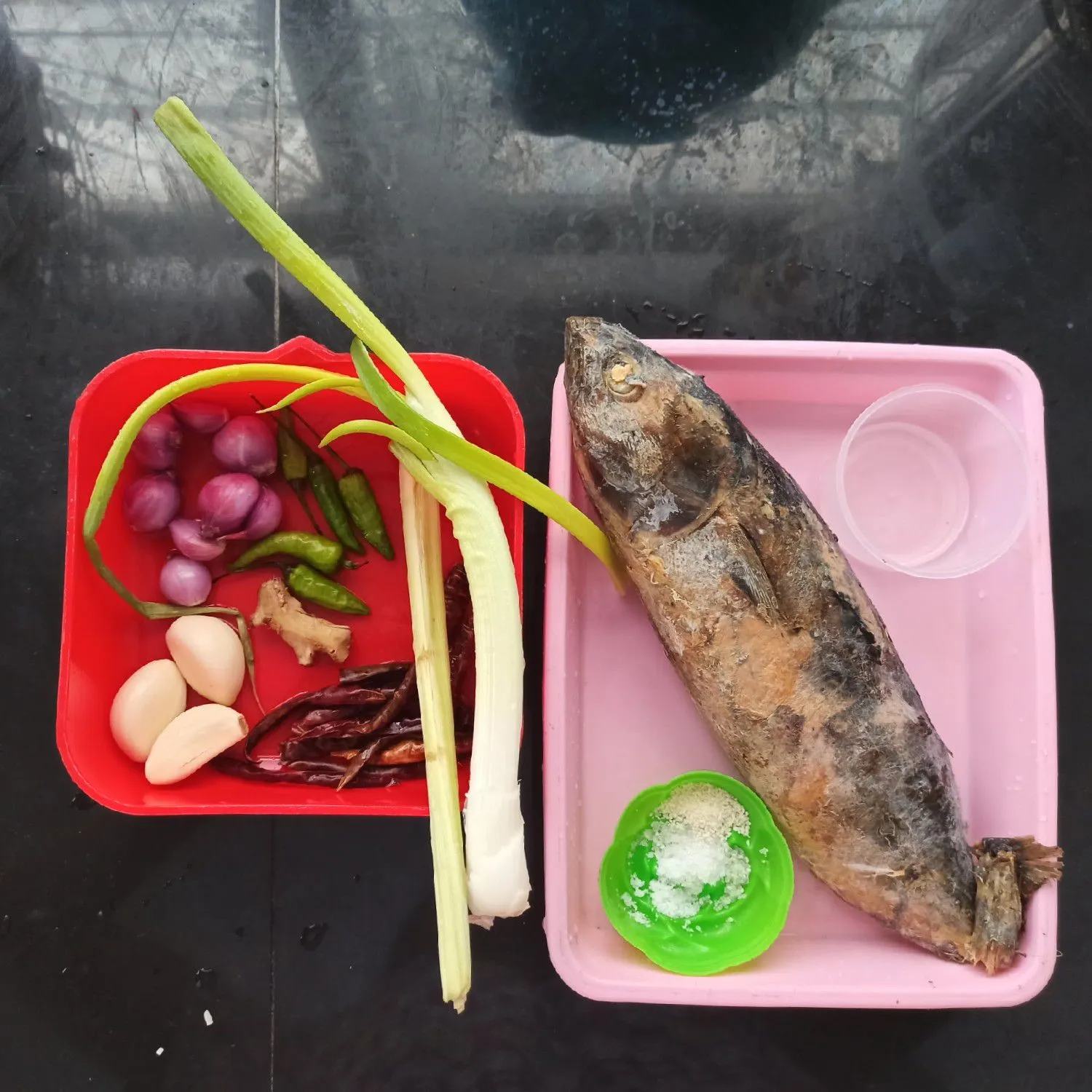 Step 1 Pampis Tongkol
