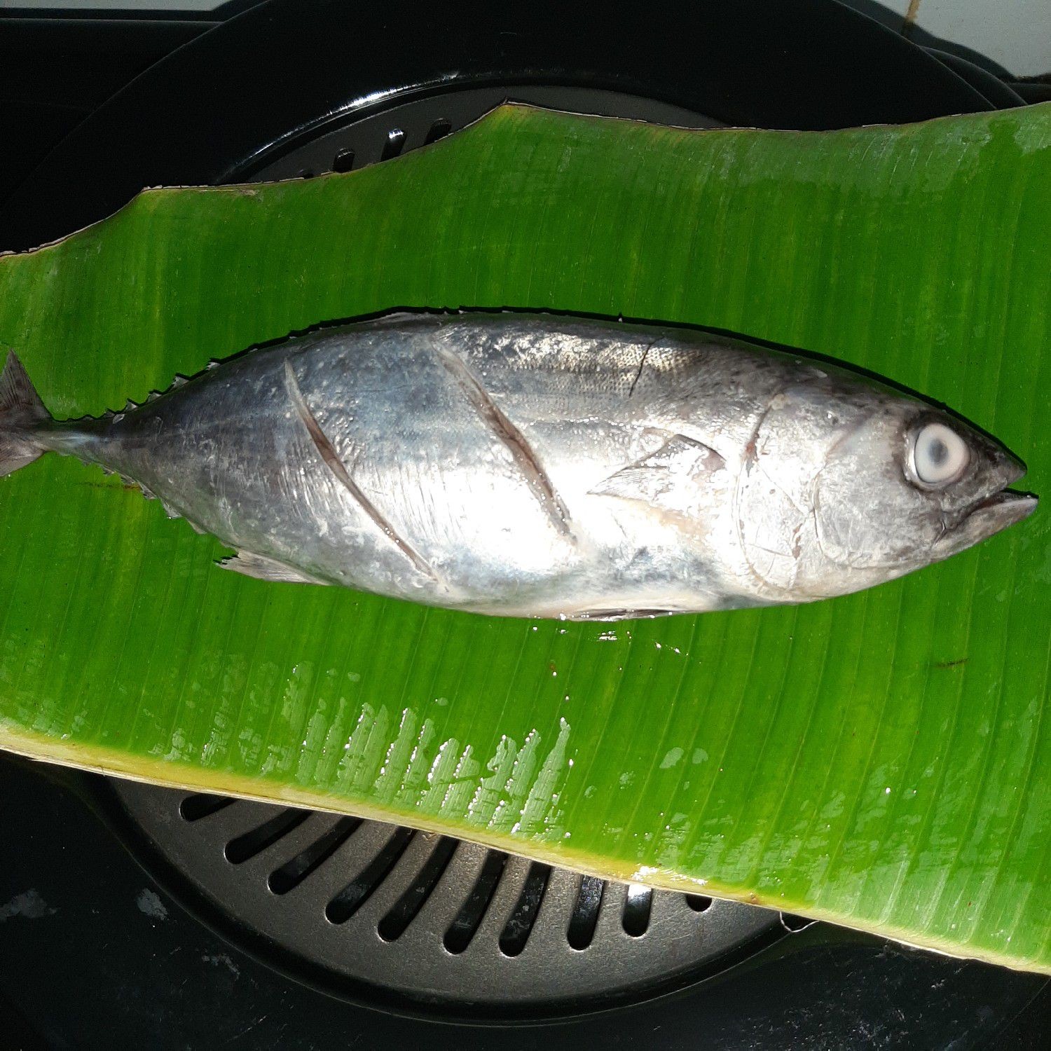 Langkah 10