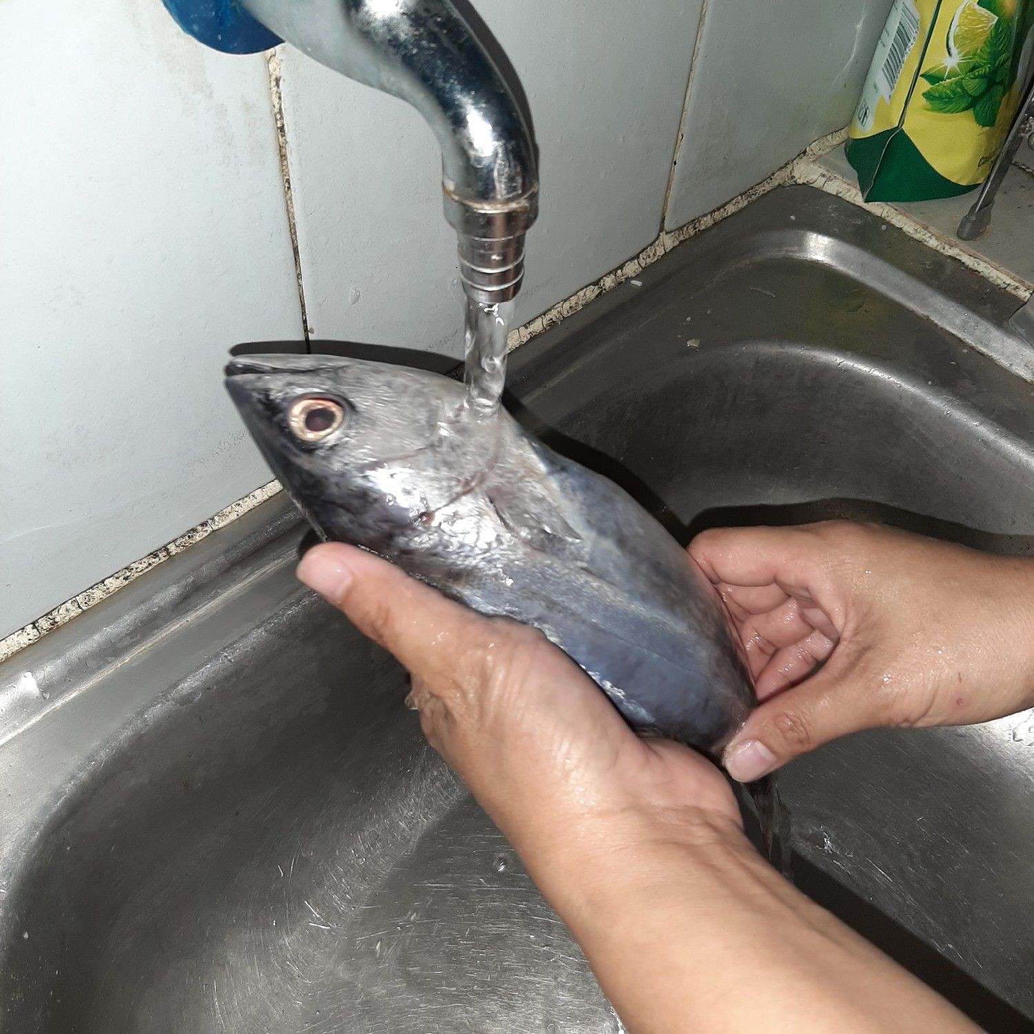 Langkah 8