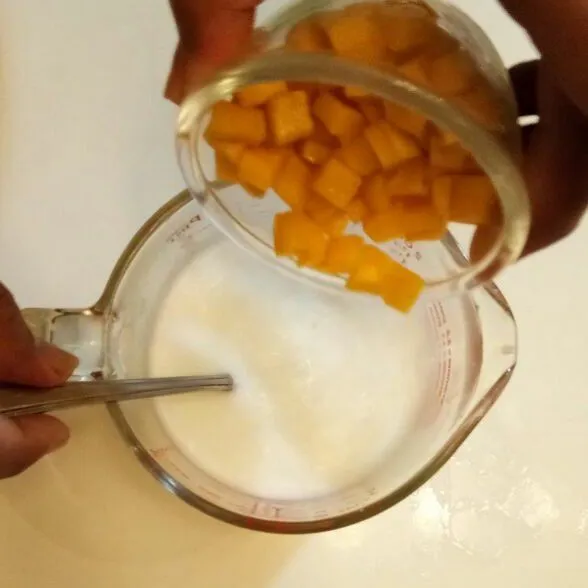 Campurkan santan dengan semua bahan 4. Aduk sampai semua tercampur.