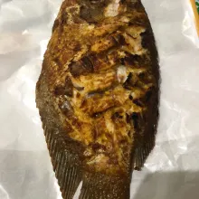 Lumuri ikan gurame dengan bumbu, lalu bakar di teflon (bolak-balik) hingga kedua sisi matang