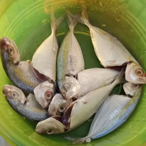 Bersihkan ikan selar kemudian lumuri dengan air jeruk nipis dan garam. Diamkan sebentar bilas dan tiriskan.