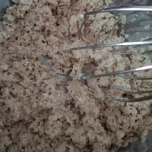 Dibenyek sampai hampir seperti bubur