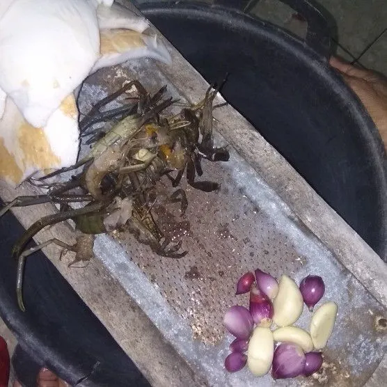 Step 1 Pelas Udang