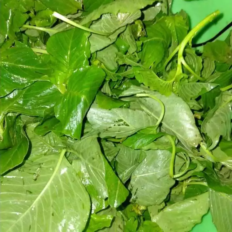 Step 1 Gulai Bayam