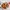 Buttermilk Fried Chicken