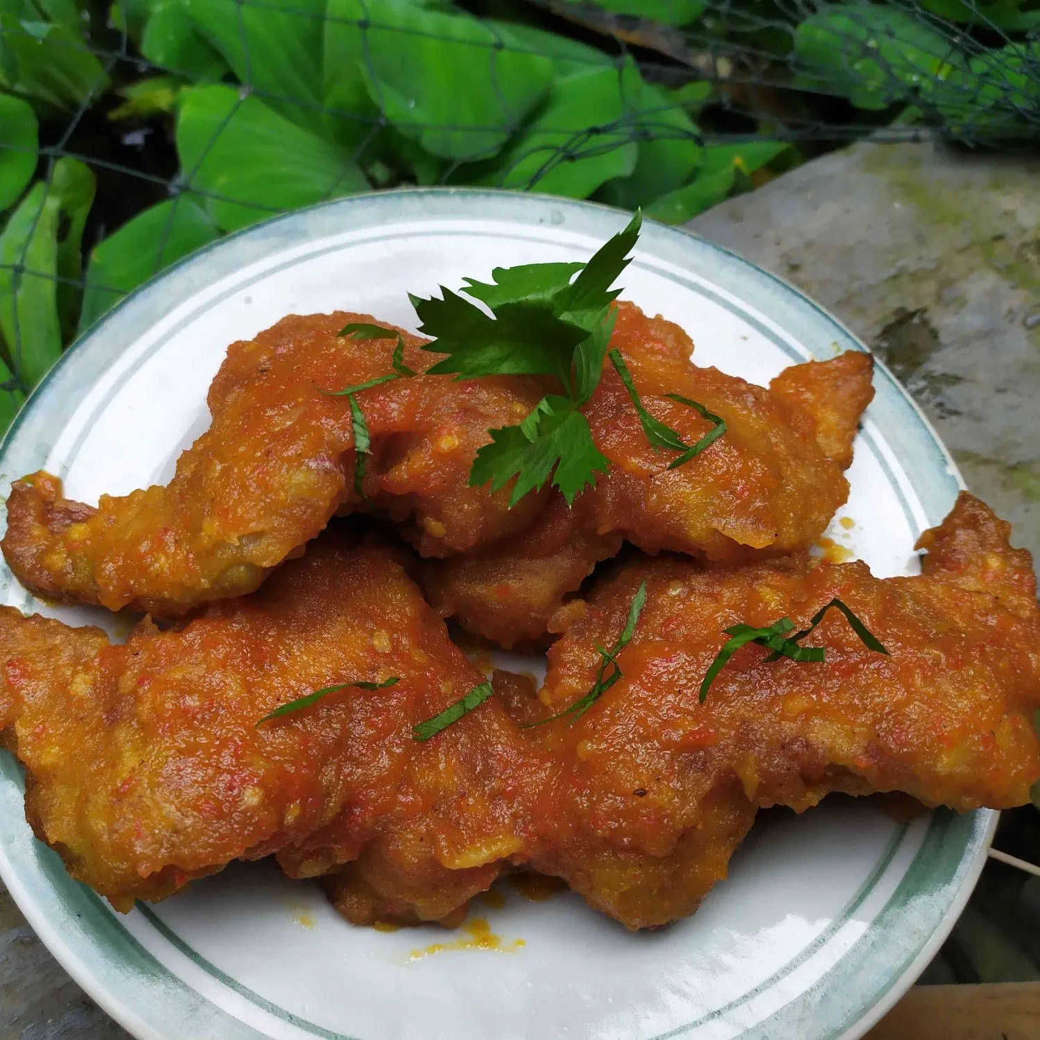 Chicken Wing's With Balado Sauce