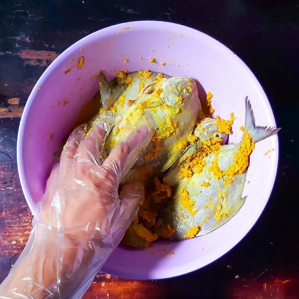 Agar tangan tidak kuning aku menggunakan sarung tangan, supaya bisa membaluri bumbunya ke semua bagian ikan. Agak dipijat sedikit supaya lebih meresap bumbunya. Tambahkan sedikit air dan diamkan minimal 1 jam.