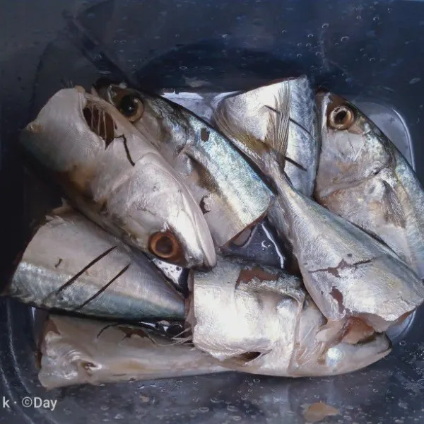 Potong-potong ikan kembung menjadi dua bagian, kemudian berikan perasan air jeruk nipis diamkan selama 15 menit kemudian bilas dengan air. Setelah itu beri garam dan diamkan 15 menit.