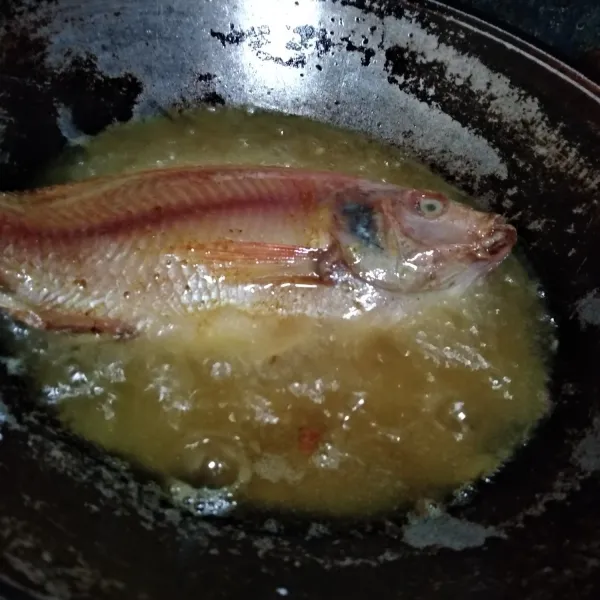 Bersihkan ikan, marinasi dengan garam dan air jeruk nipis. Lalu goreng hingga setengah matang.