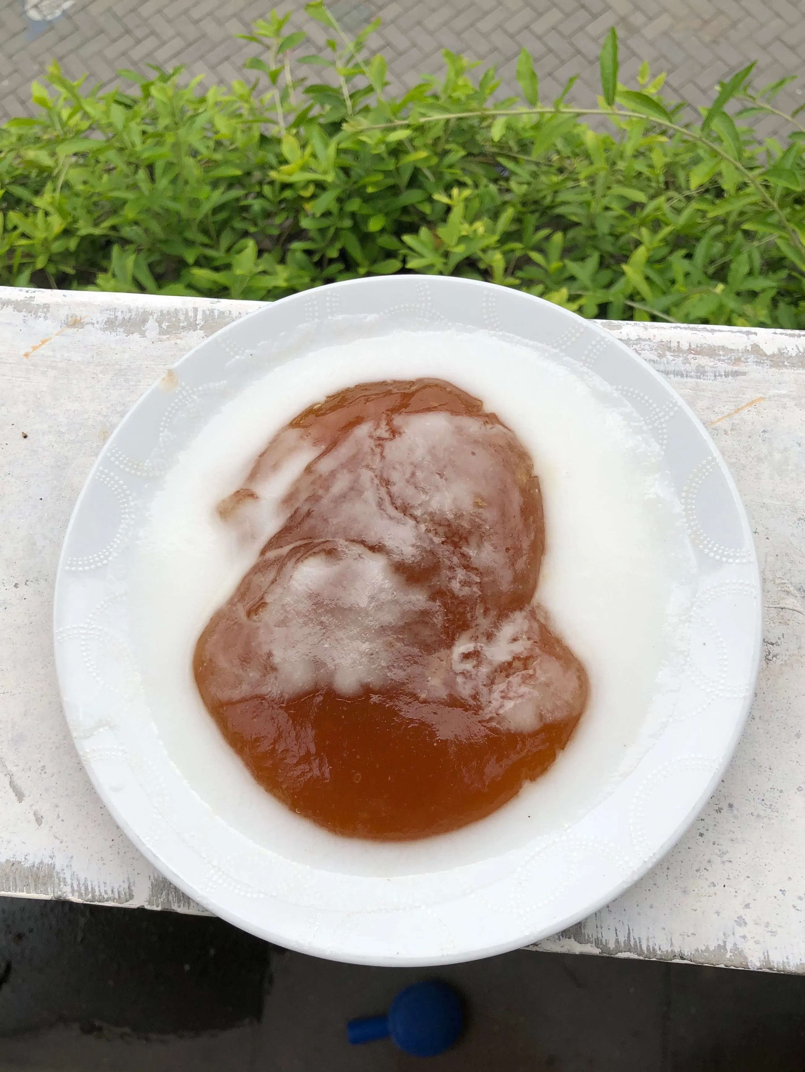 Step 6 Bubur Pati Garut