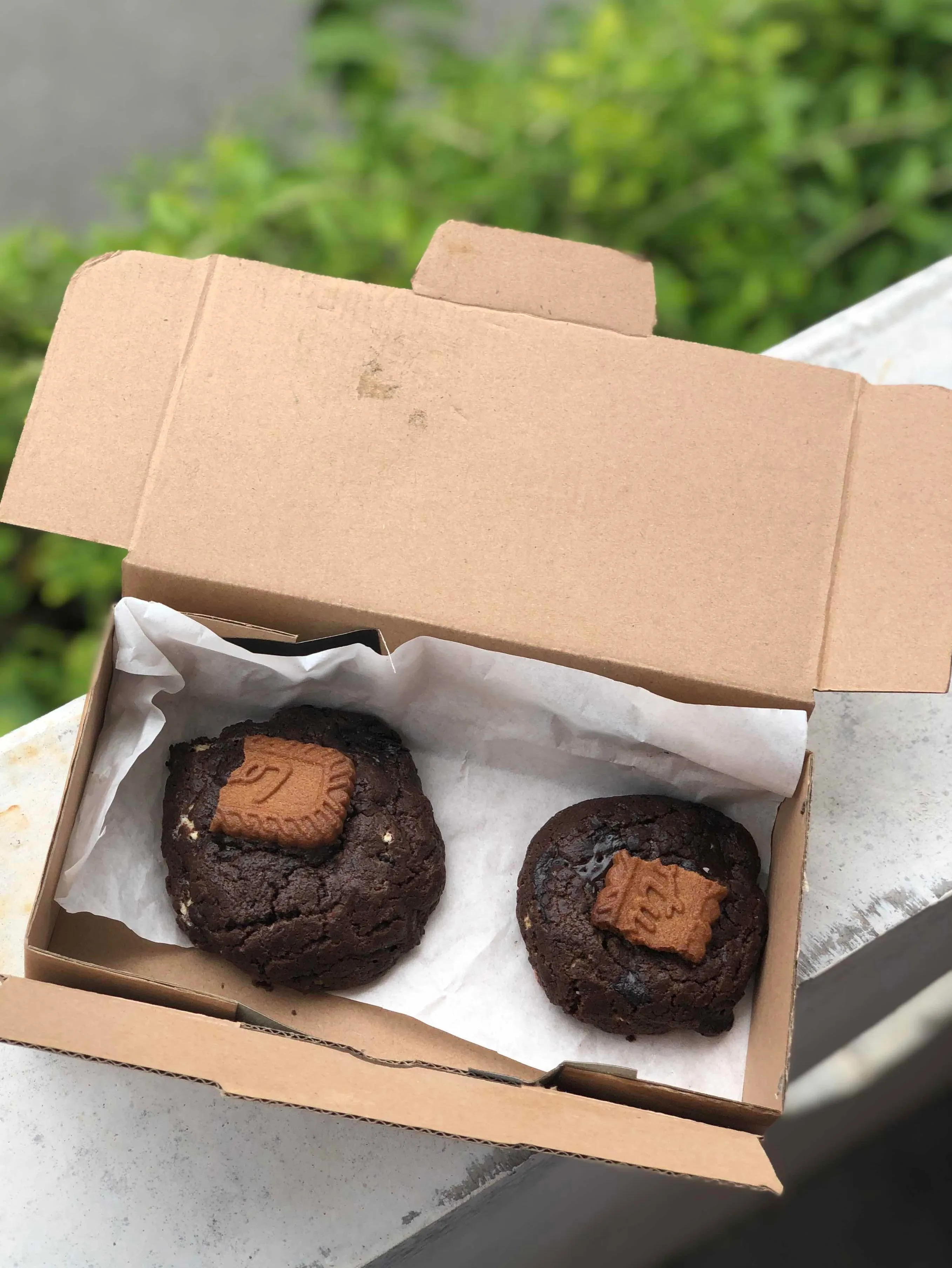 Resep Double Chocolate Chip Cookies Sederhana Rumahan di Yummy App