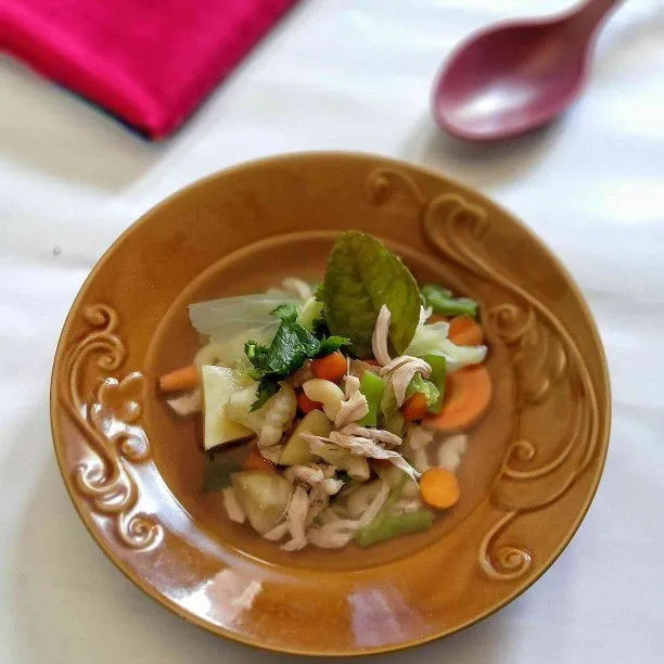 Piring sup ayam dengan irisan bawang dan seledri