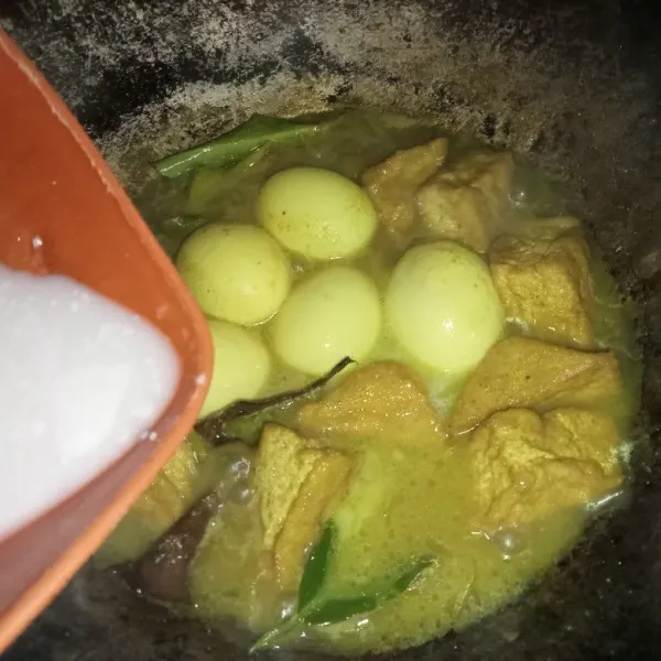 Masukkan santan, garam, gula pasir, lada bubuk dan kaldu jamur.